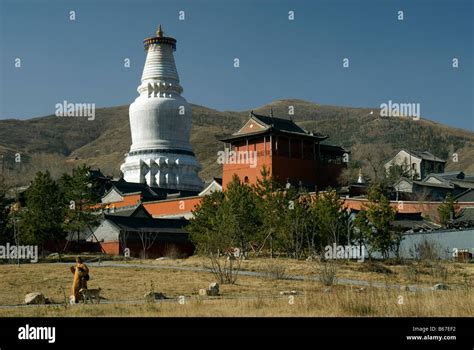 chinese iyotan|Tayuan .